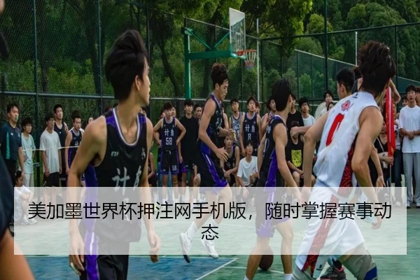 美加墨世界杯押注网手机版，随时掌握赛事动态