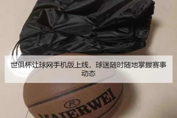 世俱杯让球网手机版上线，球迷随时随地掌握赛事动态