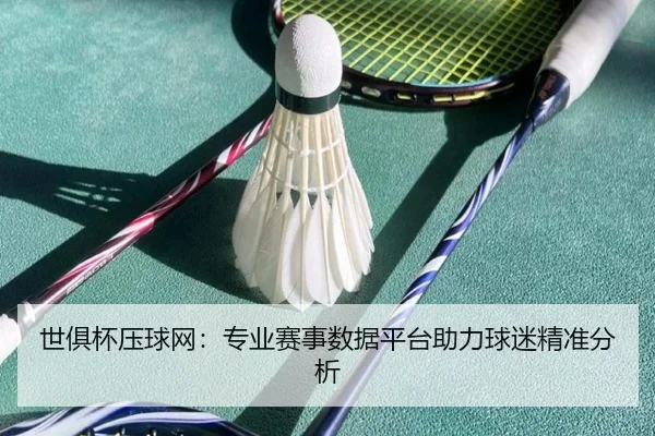 世俱杯压球网：专业赛事数据平台助力球迷精准分析